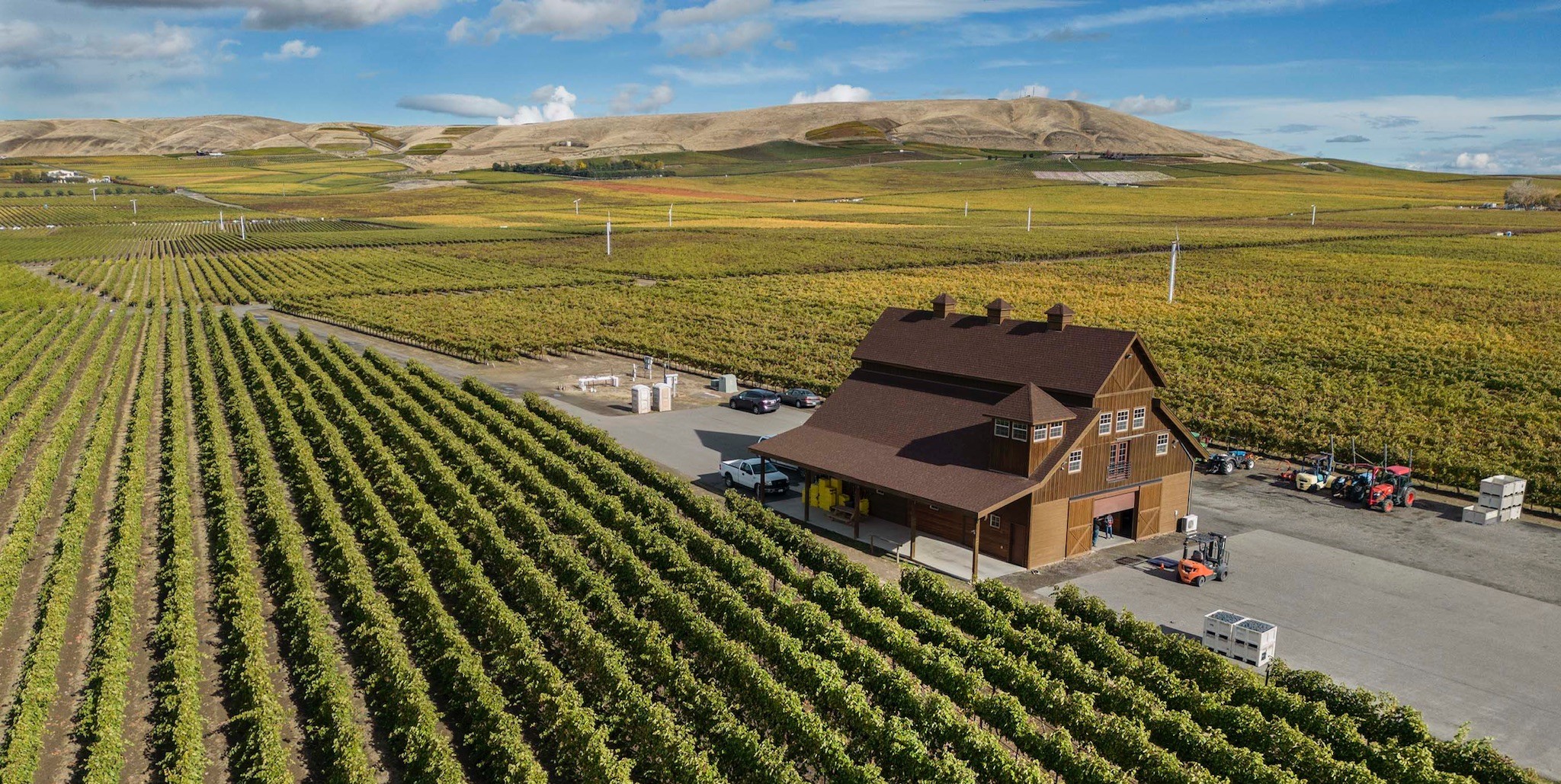 Virtue Cellars Banner